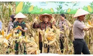  Panen Raya Jagung di Sumber Jaya, Keterlibatan Polri Penguatan Ketahanan Pangan