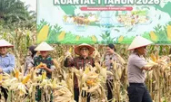 Pemko Pematangsiantar Apresiasi Panen Raya Jagung di Sumber Jaya