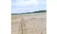 4.731 Hektar Sawah Rusak, Begini Upaya Pemkab Bireuen untuk Memperbaiki