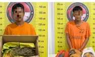 Ganja Asal Madina Gagal Beredar di Tapsel, Polisi Amankan 2 Pelaku