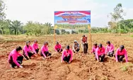 Polres Padangsidimpuan Ikuti Penanaman Jagung Serentak Kuartal I 2026