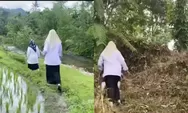 Viral Perjalanan Guru Kunjungi Siswa di Padang Pariaman, Terungkap Sawah dan Sungai yang Dilewati Kini Hancur saat Bencana Akhir November 2025