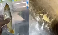 Viral Bandeng Presto MBG Ponorogo Ini Ada Belatungnya, SPPG Ungkap Hasil Beli di Supplier tapi Packing di Dapur Sendiri