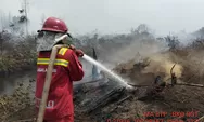 Manggala Agni Tangani Ribuan Hektare Karhutla di Riau, Sejumlah Titik Masih Membara
