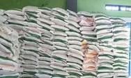 Bansos Beras 10 Kg Diperpanjang 3 Bulan, Cek Nama Kamu Masuk 33,2 Juta Penerima?