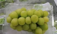 Anggur Muscat Hijau Mengandung Racun?, BPOM RI Akan Segera Turun Tangah!