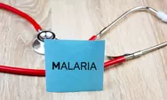Pemerintah Targetkan Indonesia Bebas Malaria pada 2030: Strategi dan Perkembangan