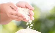 Terungkap Beras Medium Dilabeli dan Dijual Sebagai Beras Premium, Begini Cara Mudah Membedakannya Agar Tidak Tertipu