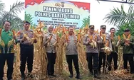 Panen Jagung 5 Ton di Pematang Karau, Kapolres Bartim Dukung Asta Cita Presiden di Sektor Ketahanan Pangan
