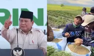 Prabowo Ingin Petani Makmur Punya Rumah Bagus dan Mobil Mewah, Tapi NYATANYA Harga Gabah Masih Anjlok di Lapangan
