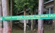 Dugaan Pengkaplingan Lahan Ilegal Di Hutan Gunung Salak Sukabumi Picu Kekhawatiran Ekologis