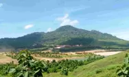 Data Tambang  Cadangan Mineral Besar Berhadapan dengan Risiko Ekologis dan Budaya Lokal Pesisir 