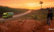 Konflik Lahan Sawit dan Dugaan Pelanggaran Hutan Lindung Kembali Jadi Perhatian Publik Nasional Indonesia