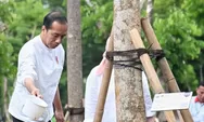  Presiden Joko Widodo Ungkap Alasan IKN Baru Dibangun, Ini Penjelasannya