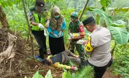 Nenek Pencari Rumput di Banyumas Tewas Tertimpa Batu