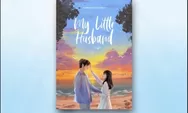 Menggali Feminisme Liberal Dalam Novel My Little Husband karya Zahrani Salsabila