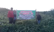 Warga Menolak Lahan Miliknya di Jadikan Plasma Oleh PT. SPS II/ PT. ARGINA