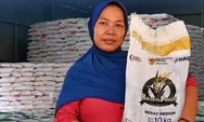 Kemendagri Pertanyakan Anomali Harga Beras: SPHP Bulog Sudah Disalurkan, Tapi Harga di Pasar Tetap Naik