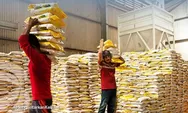 Dana Jumbo Rp22,7 Triliun untuk Bulog, Pemerintah Targetkan Serap 3 Juta Ton Beras Petani dalam RAPBN 2026