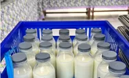 Ramai Susu MBG Hanya 30 Persen Susu Segar, BGN Tegaskan Kandungan Gizi Tetap Optimal dan Dorong Peternak Lokal