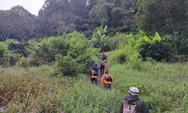 4 Fakta Hilangnya Ayah-Anak di Lembah Tengkorak Bandung: dari Jejak Sepatu hingga Medan Curam yang Sulit Dijangkau