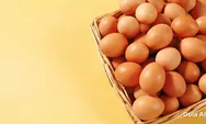 Harga Telur Jatuh di Magetan, Bisakah Program Makan Bergizi Gratis Menjadi Penopang Baru Bagi Peternak Lokal