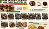 Cara Merebus Jengkol agar Empuk dan Tidak Bau, Cukup Pakai Garam dan Kopi Tanpa Rendam Semalaman