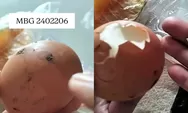 Soal Kasus Telur Rebus MBG yang Masih Berlumur Kotoran Ayam, Bupati Magetan Akui Terima Banyak Laporan
