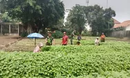 Babinsa Koramil 04 Babelan Dukung Kesejahteraan Petani Sayur