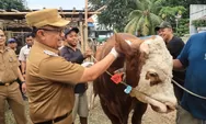 Pastikan Sehat, Pj Wali Kota Bekasi Tinjau Lapak Distribusi Hewan Kurban