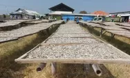 Pantai Baro Cirebon, dengan Segala Keindahan dan Keasriannya: Saksi Bisu Kehidupan para Nelayan