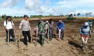 Ketua Dewan Pembina Relawan Raja Praburaka Buka Lahan Pertanian di Desa Huta Ginjang, Tapanuli Utara