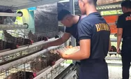 Dukung Program Ketahanan Pangan Nasional, Brimob PMJ Budidaya Ayam Petelur di Mako Batalyon D Pelopor Cikarang