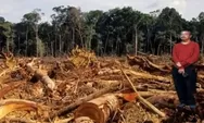 Deforestasi Turun? Aktivis TRAMP: ‘Jangan Tertipu, Hutan Primer Kita Masih Hancur!’