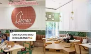 Cat Café Lamiao, Café Dengan Konsep Unik Pertama di Semarang Yang Wajib Kamu Cobain