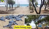 Pantai Pelangi, Tempat Liburan Yang Lagi Hits Di Bantul