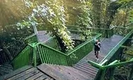 Forest Walk Babakan Siliwangi, Tempat Exotic Di Kota Bandung 