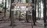 Telaga Pancar, Objek Wisata Dengan Hutan Pinus Di Majalengka 