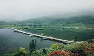 Situ Rawa Gede Danau Tersembunyi Di Kota Bogor 