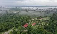 Kebun Raya Di Balikpapan, Wisata Edukasi Terbaik Di Kalimantan 