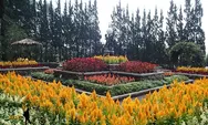 Melrimba Garden Puncak, Wisata Keluarga Di Bogor 