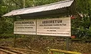 Arboretum Sylva Untan, Wisata Edukasi Di Pontianak 