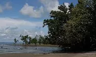 Pantai Gedambaan, Pantai Cantik Nan Eksotis Di Kotabaru