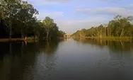 Taman Nasional Wasur Merauke, Hutan Lahan Basah Terluas