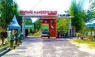 Bontang Mangrove Park, Destinasi Wisata Edukasi Di Kaltim 