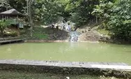 Air Terjun Pinang Seribu, Pesona Alami Yang Menakjubkan 