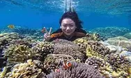 Gili Ketapang, Probolinggo, Menyelam Di Surga Bawah Laut Jawa Timur 