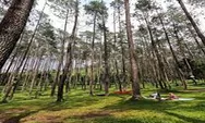 Batu Kuda Manglayang, Panorama Hutan Pinus Di Bandung Timur 