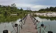 Danau Belibis Tayan, Danau Berpasir Putih Di Sanggau, Kalimantan Barat 