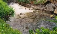 Pantai Peyuyon, Wisata Cantik Dengan Keindahan Biota Lautnya 